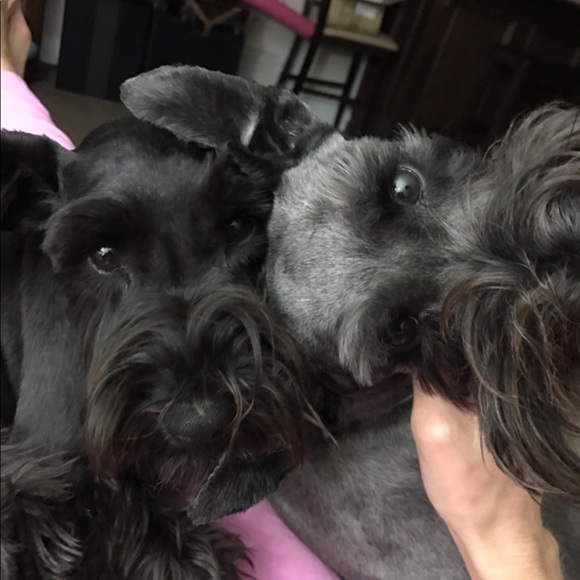 Meet your Posher, Stephanie - Picture 1 of 1